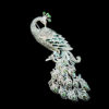Broche Pavo real